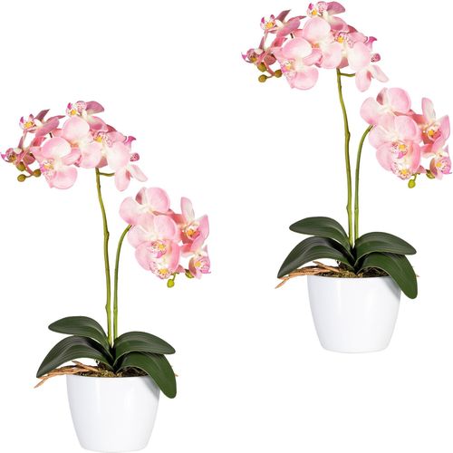 4003529743348 - Kunstpflanze CREATIV GREEN Phalaenopsis Kunstpflanzen Gr Ø H 11 cm x 50 cm 2 St rosa Kunstorchidee Kunstpflanze Zimmerpflanze Künstliche Zimmerpflanzen Kunstpflanzen 4003529743348 - Kunstpflanze CREATIV GREEN Phalaenopsis Kunstpflanzen Gr Ø H 11 cm x 50 cm 2 St rosa Kunstorchidee Kunstpflanze Zimmerpflanze Künstliche Zimmerpflanzen Kunstpflanzen