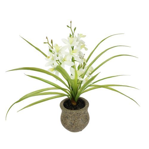4019844810139 - Kunstblume IGEA Kunstblume Schmetterling Orchidee mit Keramiktopf weiß B39cm H38cm L11cm Polyester Kunstpflanzen Mit Blätter Luftwurzeln Blume Kunstorchidee Phalaenopsis Kunstpflanze 4019844810139 - Kunstblume IGEA Kunstblume Schmetterling Orchidee mit Keramiktopf weiß B39cm H38cm L11cm Polyester Kunstpflanzen Mit Blätter Luftwurzeln Blume Kunstorchidee Phalaenopsis Kunstpflanze