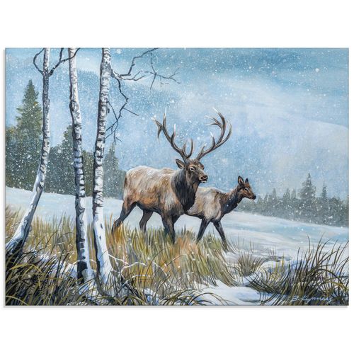4058661409331 - Glasbild ARTLAND Hirsch Reise IV Bilder Gr B H 60 cm x 45 cm Glasbild Wildtiere Querformat 1 St weiß Bild Glasbild Glasbilder Bilder in verschiedenen Größen 4058661409331 - Glasbild ARTLAND Hirsch Reise IV Bilder Gr B H 60 cm x 45 cm Glasbild Wildtiere Querformat 1 St weiß Bild Glasbild Glasbilder Bilder in verschiedenen Größen