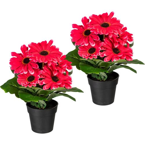 4064118841203 - Kunstpflanze MY HOME Elaine pink (fuchsia) B15cm H27cm Obermaterial 50% Kunststoff 50% Polyester Kunstpflanzen Künstliche Zimmerpflanze im Topf 2er Set 4064118841203 - Kunstpflanze MY HOME Elaine pink (fuchsia) B15cm H27cm Obermaterial 50% Kunststoff 50% Polyester Kunstpflanzen Künstliche Zimmerpflanze im Topf 2er Set