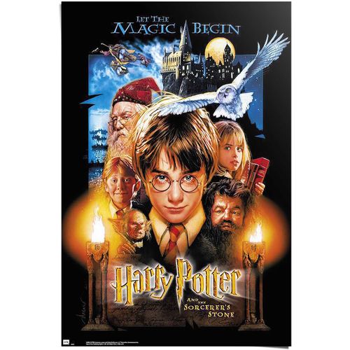8714597623284 - Poster REINDERS Harry Potter bunt (farbe bild(er) bunt) B61cm H915cm T01cm Papier Bilder