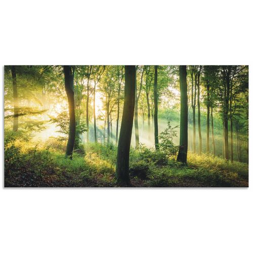 4062144665138 - Wandbild ARTLAND Herbst im Wald II Bilder Gr B H 100 cm x 50 cm Alu-Dibond-Druck Waldbilder Querformat 1 St grün Kunstdrucke als Alubild Leinwandbild Wandaufkleber oder Poster in versch Größen