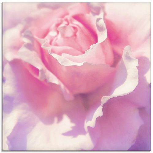 4058661964724 - Glasbild ARTLAND Rosa Bilder Gr B H 50 cm x 50 cm Glasbild Blumen quadratisch 1 St pink Bild Glasbild Glasbilder Bilder in verschiedenen Größen 4058661964724 - Glasbild ARTLAND Rosa Bilder Gr B H 50 cm x 50 cm Glasbild Blumen quadratisch 1 St pink Bild Glasbild Glasbilder Bilder in verschiedenen Größen