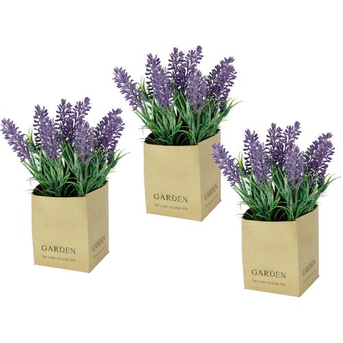 4019844742904 - Kunstblume IGEA Kunstpflanzen Gr B H 10 cm x 20 cm 3 St lila (violett) Kunst-Blumen Kunstpflanzen im Topf 4019844742904 - Kunstblume IGEA Kunstpflanzen Gr B H 10 cm x 20 cm 3 St lila (violett) Kunst-Blumen Kunstpflanzen im Topf