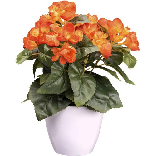 4064118241096 - Kunstblume CREATIV GREEN Begonie orange H28cm Kunststoff Kunstpflanzen mit farbenfrohen Blüten