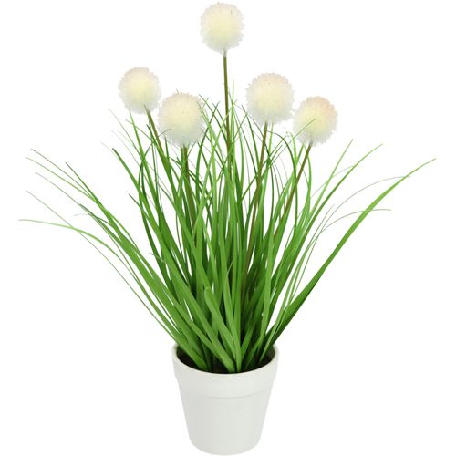 4019844806156 - Kunstpflanze IGEA Knopfgras im Topf weiß B19cm H35cm L19cm Kunststoff Kunstpflanzen 4019844806156 - Kunstpflanze IGEA Knopfgras im Topf weiß B19cm H35cm L19cm Kunststoff Kunstpflanzen