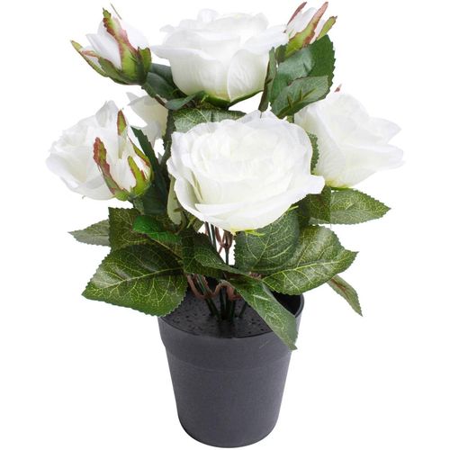 8505451849007 - Kunstblume BOTANIC-HAUS Rosenbusch weiß B20cm H27cm T20cm Ø20cm Kunststoff Kunstpflanzen 8505451849007 - Kunstblume BOTANIC-HAUS Rosenbusch weiß B20cm H27cm T20cm Ø20cm Kunststoff Kunstpflanzen