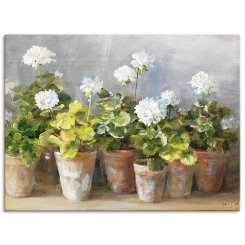 4055327743143 - Wandbild ARTLAND Weiße Geranien Bilder Gr B H 120 cm x 90 cm Leinwandbild Blumen Querformat 1 St weiß Bild Leinwandbild Kunstdrucke Bilder als Leinwandbild Wandaufkleber oder Poster in versch Größen