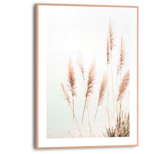 8714597598599 - Poster REINDERS Pampasgras beige (farbe bild(er) beige) B30cm H40cm T16cm MDF Bilder