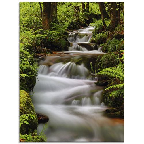 4058661671554 - Glasbild ARTLAND Schwarzwaldbach Bilder Gr B H 45 cm x 60 cm Glasbild Gewässer Hochformat 1 St grün Bild Glasbild Glasbilder Bilder in verschiedenen Größen 4058661671554 - Glasbild ARTLAND Schwarzwaldbach Bilder Gr B H 45 cm x 60 cm Glasbild Gewässer Hochformat 1 St grün Bild Glasbild Glasbilder Bilder in verschiedenen Größen