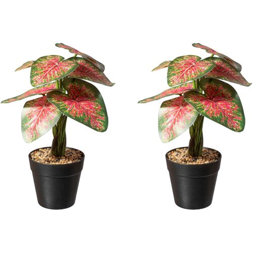 4064118118794 - Künstliche Zimmerpflanze CREATIV GREEN Dracaena draco Kunstpflanzen Gr Ø H 17 cm x 30 cm 2 St grün (grün rot) Künstliche Zimmerpflanzen im Topf