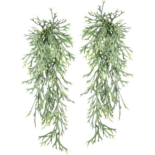 4064118841395 - Kunstranke CREATIV GREEN Geweihfarnhänger Kunstpflanzen Gr B H 15 cm x 75 cm 2 St grün Kunst-Ranken 2er Set 4064118841395 - Kunstranke CREATIV GREEN Geweihfarnhänger Kunstpflanzen Gr B H 15 cm x 75 cm 2 St grün Kunst-Ranken 2er Set
