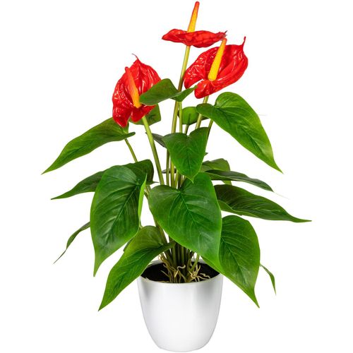 4064118840534 - Kunstpflanze MY HOME Haune Kunstpflanzen Gr B H 16 cm x 40 cm 1 St rot Künstliche Zimmerpflanze Zimmerpflanzen im Topf