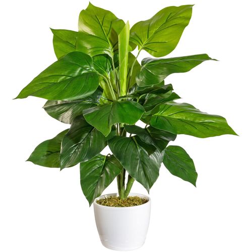4064118843252 - Künstliche Zimmerpflanze ANDAS Jarla Kunstpflanzen Gr B H 31 cm x 50 cm 1 St grün Künstliche Zimmerpflanze Zimmerpflanzen im Keramiktopf