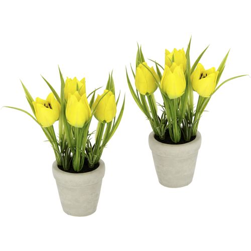 4019844789909 - Kunstblume IGEA Tulpe Kunstpflanzen Gr B H L 10 cm x 19 cm x 10 cm 2 St gelb Kunst-Blumen Im Keramiktopf 2er Set 4019844789909 - Kunstblume IGEA Tulpe Kunstpflanzen Gr B H L 10 cm x 19 cm x 10 cm 2 St gelb Kunst-Blumen Im Keramiktopf 2er Set