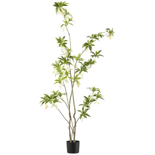 4064118241898 - Kunstbaum CREATIV GREEN Elaeocarpus grün H180cm Kunststoff Kunstpflanzen mit traumhaft schönen Blüten 4064118241898 - Kunstbaum CREATIV GREEN Elaeocarpus grün H180cm Kunststoff Kunstpflanzen mit traumhaft schönen Blüten