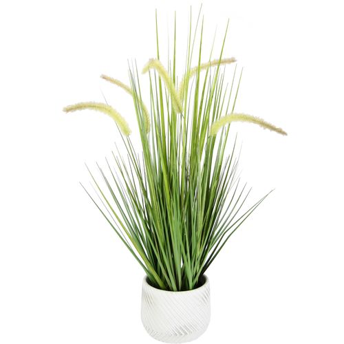 4019844798307 - Kunstpflanze IGEA Fuchsschwanzgras Kunstpflanzen Gr B H L 28 cm x 67 cm x 28 cm 2 St grün Künstliche Zimmerpflanzen Mit Übertopf Kunstgras Deko Borstenhirse Panicoideae Süßgräser Setaria