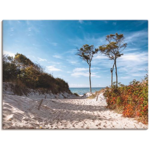 4057738019923 - Wandbild ARTLAND Weststrand Darss Bilder Gr B H 80 cm x 60 cm Leinwandbild Strand 1 St blau Bild Kunstdruck Leinwandbild Kunstdrucke Bilder als Leinwandbild Wandaufkleber oder Poster in versch Größen 4057738019923 - Wandbild ARTLAND Weststrand Darss Bilder Gr B H 80 cm x 60 cm Leinwandbild Strand 1 St blau Bild Kunstdruck Leinwandbild Kunstdrucke Bilder als Leinwandbild Wandaufkleber oder Poster in versch Größen