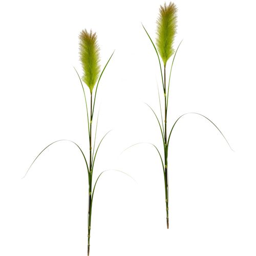 4019844715168 - Kunstpflanze IGEA Pampas Kunstpflanzen Gr B H L 13 cm x 125 cm x 10 cm 2 St grün Künstliche Zimmerpflanzen Pampasgras Boho 2er Set 4019844715168 - Kunstpflanze IGEA Pampas Kunstpflanzen Gr B H L 13 cm x 125 cm x 10 cm 2 St grün Künstliche Zimmerpflanzen Pampasgras Boho 2er Set