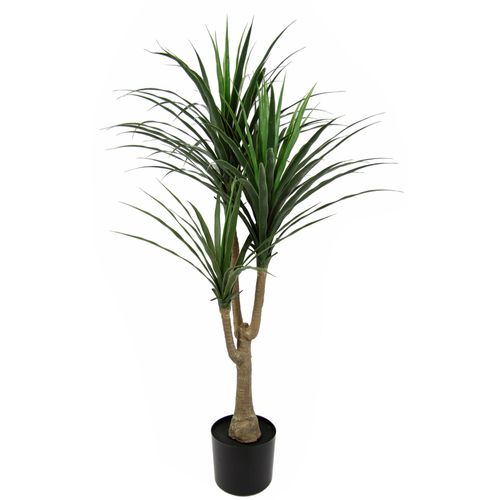 4019844801335 - Kunstbaum IGEA Palme Dracena im Topf künstlich Pflanze Dracenapalme Zimmerpflanzen Kunstpflanzen Gr B H L 40 cm x 120 cm x 40 cm 1 St grün Kunst-Bäume Zimmerpalme Grünpflanzen Kunstpflanze Drachenbaum Pflanze Palme 4019844801335 - Kunstbaum IGEA Palme Dracena im Topf künstlich Pflanze Dracenapalme Zimmerpflanzen Kunstpflanzen Gr B H L 40 cm x 120 cm x 40 cm 1 St grün Kunst-Bäume Zimmerpalme Grünpflanzen Kunstpflanze Drachenbaum Pflanze Palme