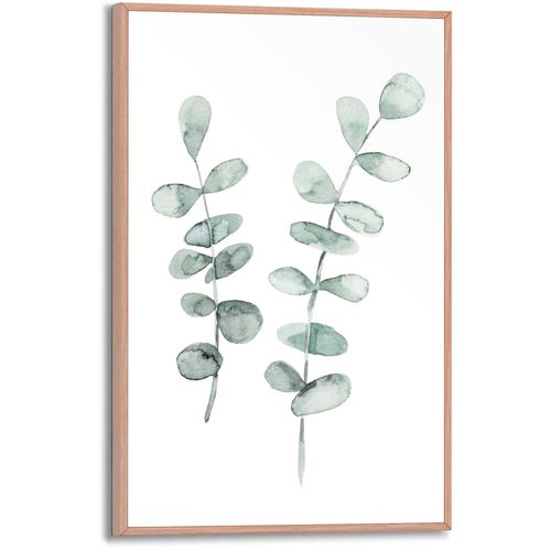 8714597614879 - Poster REINDERS Eukalyptus grün (farbe bild(er) grün) B20cm H30cm T16cm MDF Bilder 8714597614879 - Poster REINDERS Eukalyptus grün (farbe bild(er) grün) B20cm H30cm T16cm MDF Bilder