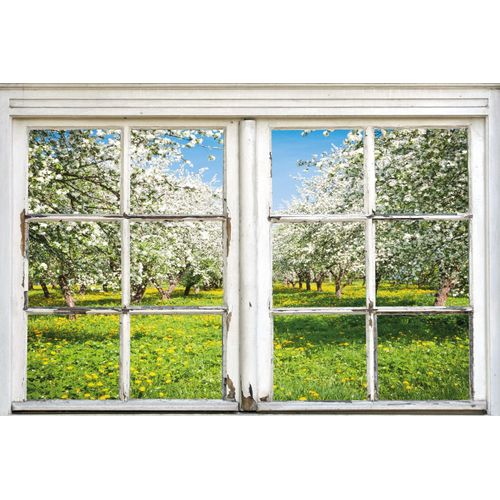 4067437001310 - Leinwandbild QUEENCE Apfelbäume Bilder Gr B H 60 cm x 90 cm Bäume-Natur-Wiesen & Bäume Querformat 1 St grün Leinwandbilder Premium-Leinwandstoff 4067437001310 - Leinwandbild QUEENCE Apfelbäume Bilder Gr B H 60 cm x 90 cm Bäume-Natur-Wiesen & Bäume Querformat 1 St grün Leinwandbilder Premium-Leinwandstoff
