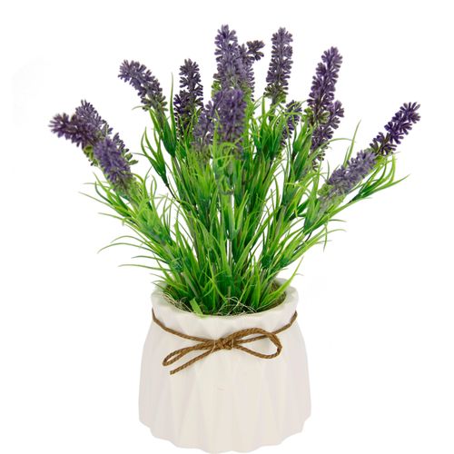 4019844767723 - Kunstpflanze IGEA Lavendel Kunstpflanzen Gr B H L 20 cm x 27 cm x 20 cm lila (violett) Kunstpflanze Künstliche Zimmerpflanzen Kunstpflanzen Im Keramiktopf 4019844767723 - Kunstpflanze IGEA Lavendel Kunstpflanzen Gr B H L 20 cm x 27 cm x 20 cm lila (violett) Kunstpflanze Künstliche Zimmerpflanzen Kunstpflanzen Im Keramiktopf