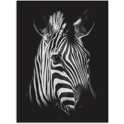 4062144626641 - Wandbild ARTLAND Zebra Bilder Gr B H 45 cm x 60 cm Alu-Dibond-Druck Zebra Bilder Hochformat 1 St schwarz Kunstdrucke als Alubild Leinwandbild Wandaufkleber oder Poster in versch Größen 4062144626641 - Wandbild ARTLAND Zebra Bilder Gr B H 45 cm x 60 cm Alu-Dibond-Druck Zebra Bilder Hochformat 1 St schwarz Kunstdrucke als Alubild Leinwandbild Wandaufkleber oder Poster in versch Größen