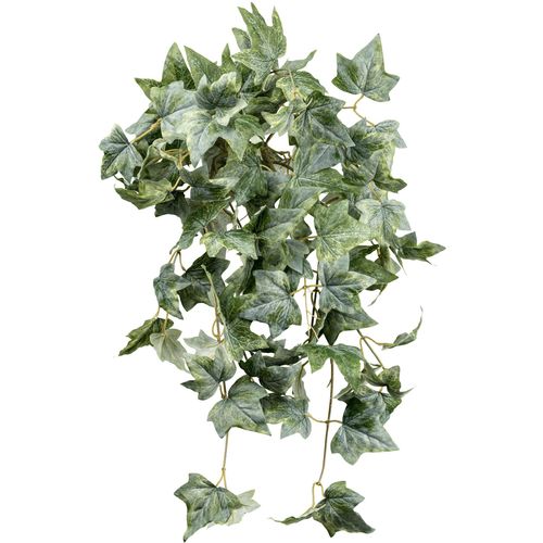 4064118181590 - Kunstranke CREATIV GREEN Efeu-Hängepflanze weiß H70cm Kunstpflanzen mit schönem Blattwerk 4064118181590 - Kunstranke CREATIV GREEN Efeu-Hängepflanze weiß H70cm Kunstpflanzen mit schönem Blattwerk
