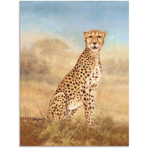 4057738407782 - Wandbild ARTLAND Gepard Savanne Bilder Gr B H 45 cm x 60 cm Alu-Dibond-Druck Wildtiere 1 St beige (naturfarben) Bild Poster Bilder als Alubild Leinwandbild Wandaufkleber oder in versch Größen 4057738407782 - Wandbild ARTLAND Gepard Savanne Bilder Gr B H 45 cm x 60 cm Alu-Dibond-Druck Wildtiere 1 St beige (naturfarben) Bild Poster Bilder als Alubild Leinwandbild Wandaufkleber oder in versch Größen