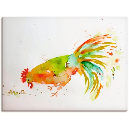 4055327666640 - Wandbild ARTLAND Hahn Bilder Gr B H 80 cm x 60 cm Leinwandbild Vögel 1 St weiß Bild Kunstdruck Kunstdrucke Bilder als Leinwandbild Wandaufkleber oder Poster in versch Größen 4055327666640 - Wandbild ARTLAND Hahn Bilder Gr B H 80 cm x 60 cm Leinwandbild Vögel 1 St weiß Bild Kunstdruck Kunstdrucke Bilder als Leinwandbild Wandaufkleber oder Poster in versch Größen