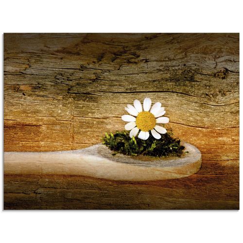 4058661688767 - Glasbild ARTLAND Kamille Bilder Gr B H 60 cm x 45 cm Glasbild Blumen Querformat 1 St braun Bild Glasbild Glasbilder Bilder in verschiedenen Größen 4058661688767 - Glasbild ARTLAND Kamille Bilder Gr B H 60 cm x 45 cm Glasbild Blumen Querformat 1 St braun Bild Glasbild Glasbilder Bilder in verschiedenen Größen
