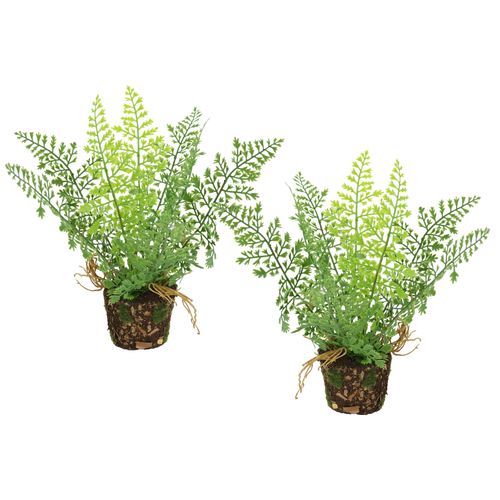 4019844818913 - Kunstpflanze IGEA Künstlicher Waldfarn im Topf grün B14cm H24cm L12cm Kunststoff Kunstpflanzen 2er Set Farn Büsche Pflanze Deko Grünpflanze Waldpflanze Zimmerpflanze 4019844818913 - Kunstpflanze IGEA Künstlicher Waldfarn im Topf grün B14cm H24cm L12cm Kunststoff Kunstpflanzen 2er Set Farn Büsche Pflanze Deko Grünpflanze Waldpflanze Zimmerpflanze