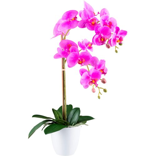 4064118241119 - Kunstorchidee CREATIV GREEN Orchidee Phalaenopsis lila H56cm Kunststoff Kunstpflanzen mit real-touch-Blüten 4064118241119 - Kunstorchidee CREATIV GREEN Orchidee Phalaenopsis lila H56cm Kunststoff Kunstpflanzen mit real-touch-Blüten