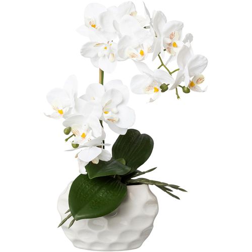 4064118136972 - Kunstorchidee CREATIV GREEN Deko-Orchidee Phalaenopsis im Keramiktopf weiß B17cm H33cm T13cm Obermaterial 95% Polyethylen 5% Polyester Kunstpflanzen 4064118136972 - Kunstorchidee CREATIV GREEN Deko-Orchidee Phalaenopsis im Keramiktopf weiß B17cm H33cm T13cm Obermaterial 95% Polyethylen 5% Polyester Kunstpflanzen