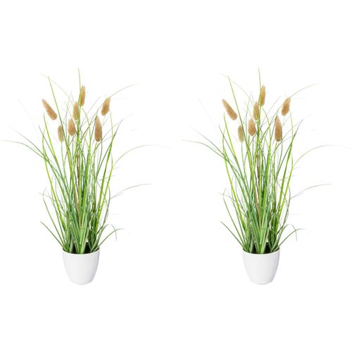 4064118118251 - Kunstgras CREATIV GREEN Grasbusch Kunstpflanzen Gr Ø H 12 cm x 40 cm 2 St grün Kunst-Gräser mit Blüten im Topf 4064118118251 - Kunstgras CREATIV GREEN Grasbusch Kunstpflanzen Gr Ø H 12 cm x 40 cm 2 St grün Kunst-Gräser mit Blüten im Topf