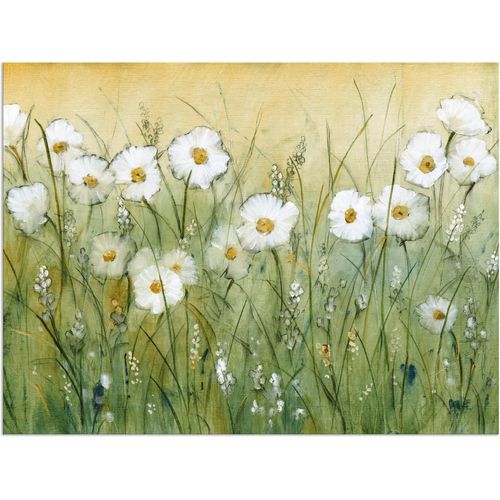4062144374450 - Wandbild ARTLAND Gänseblümchenfrühling II Bilder Gr B H 120 cm x 90 cm Alu-Dibond-Druck Blumen Querformat 1 St grün Bild Metallbild Metallbilder Bilder als Alubild Leinwandbild Wandaufkleber oder Poster in versch Größen 4062144374450 - Wandbild ARTLAND Gänseblümchenfrühling II Bilder Gr B H 120 cm x 90 cm Alu-Dibond-Druck Blumen Querformat 1 St grün Bild Metallbild Metallbilder Bilder als Alubild Leinwandbild Wandaufkleber oder Poster in versch Größen