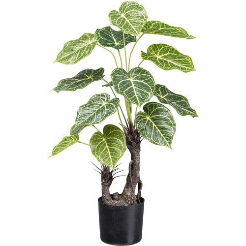 4064118182399 - Kunstpalme CREATIV GREEN Nephtytispflanze grün H70cm Kunstpflanzen mit großen Blättern 4064118182399 - Kunstpalme CREATIV GREEN Nephtytispflanze grün H70cm Kunstpflanzen mit großen Blättern