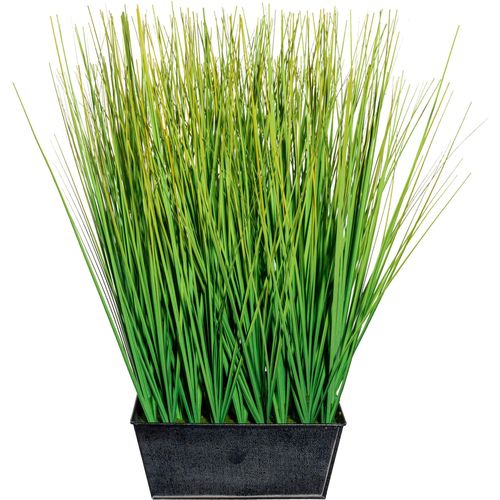 4064118144175 - Kunstgras CREATIV GREEN Grasbusch Kunstpflanzen Gr B H 25 cm x 46 cm 1 St grün Kunst-Gräser mit Blüten im Topf 4064118144175 - Kunstgras CREATIV GREEN Grasbusch Kunstpflanzen Gr B H 25 cm x 46 cm 1 St grün Kunst-Gräser mit Blüten im Topf