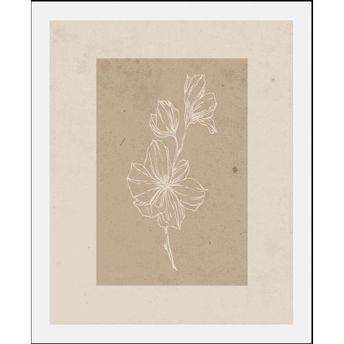 4067437347234 - Bild QUEENCE Havanna beige (farbe rahmen schwarz farbe bild(er) beige) B50cm H70cm Acrylglas Papier Holz Bilder gerahmt 4067437347234 - Bild QUEENCE Havanna beige (farbe rahmen schwarz farbe bild(er) beige) B50cm H70cm Acrylglas Papier Holz Bilder gerahmt