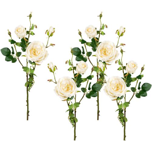 4003529905319 - Kunstblume CREATIV GREEN Kunstpflanzen Gr H 63 cm 4 St beige (creme) Kunstblume Kunstpflanze Kunst-Blumen Kunstpflanzen 4er Set 4003529905319 - Kunstblume CREATIV GREEN Kunstpflanzen Gr H 63 cm 4 St beige (creme) Kunstblume Kunstpflanze Kunst-Blumen Kunstpflanzen 4er Set
