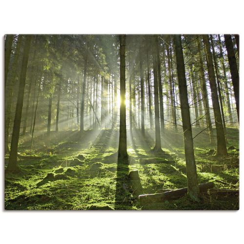 4055327636780 - Wandbild ARTLAND Wald im Gegenlicht Bilder Gr B H 80 cm x 60 cm Leinwandbild Wald Querformat 1 St grün Bild Poster Bilder als Alubild Leinwandbild Wandaufkleber oder in versch Größen