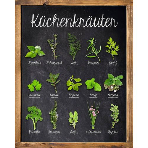 8714597372038 - Deco-Panel HOME AFFAIRE Küchenkräuter grün (farbe rahmen holzfarben farbe bild(er) grün anthrazit) B40cm H50cm MDF Papier Bilder 40 50 cm 8714597372038 - Deco-Panel HOME AFFAIRE Küchenkräuter grün (farbe rahmen holzfarben farbe bild(er) grün anthrazit) B40cm H50cm MDF Papier Bilder 40 50 cm