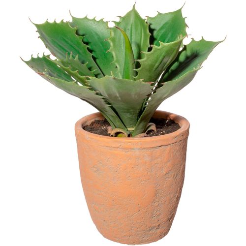 4064118138174 - Künstliche Zimmerpflanze CREATIV GREEN Echeveria im Terracottatopf Kunstpflanzen Gr H 25 cm 1 St grün Künstliche Zimmerpflanzen