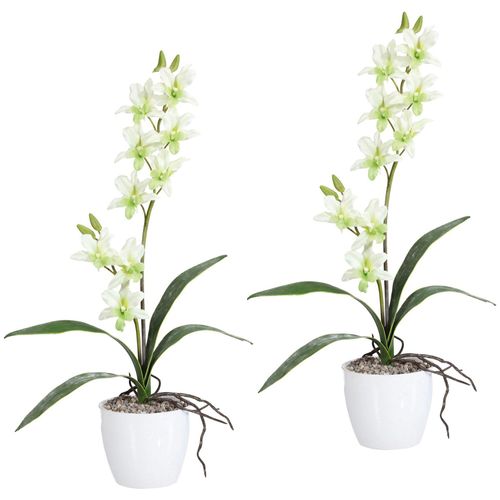 4064118040026 - Kunstpflanze CREATIV GREEN Orchidee Dendrobie Kunstpflanzen Gr H 60 cm 2 St grün Künstliche Zimmerpflanzen Kunstpflanzen im Keramiktopf 4064118040026 - Kunstpflanze CREATIV GREEN Orchidee Dendrobie Kunstpflanzen Gr H 60 cm 2 St grün Künstliche Zimmerpflanzen Kunstpflanzen im Keramiktopf