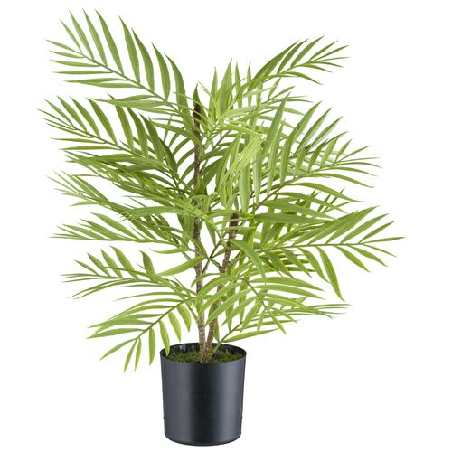 4064118242338 - Kunstpalme CREATIV GREEN Arecapalme grün H48cm Kunststoff Kunstpflanzen mit naturgetreuen Palmwedeln 4064118242338 - Kunstpalme CREATIV GREEN Arecapalme grün H48cm Kunststoff Kunstpflanzen mit naturgetreuen Palmwedeln