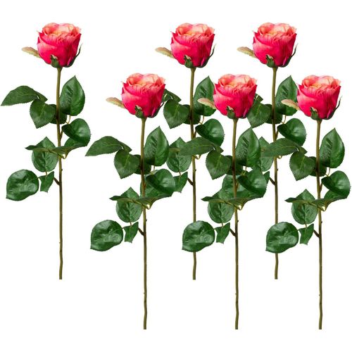 4064118038382 - Kunstblume CREATIV GREEN Kunstpflanzen Gr H 69 cm 6 St rosa (altrosa) Kunstblume Kunst-Blumen Kunstpflanzen 4064118038382 - Kunstblume CREATIV GREEN Kunstpflanzen Gr H 69 cm 6 St rosa (altrosa) Kunstblume Kunst-Blumen Kunstpflanzen