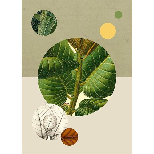 4055065151347 - KOMAR Poster Green Structure Bilder Kinderzimmer Schlafzimmer Wohnzimmer Gr B H 30 cm x 40 cm Pflanzen-Blätter 1 St bunt Poster 4055065151347 - KOMAR Poster Green Structure Bilder Kinderzimmer Schlafzimmer Wohnzimmer Gr B H 30 cm x 40 cm Pflanzen-Blätter 1 St bunt Poster