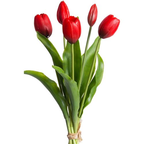 4260600493954 - Kunstblume MY HOME Tulpenbündel Holland real Touch Kunstpflanzen Gr Ø H 10 cm x 35 cm 1 St rot Kunst-Blumen 4260600493954 - Kunstblume MY HOME Tulpenbündel Holland real Touch Kunstpflanzen Gr Ø H 10 cm x 35 cm 1 St rot Kunst-Blumen
