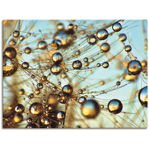 4057738609841 - Wandbild ARTLAND Pusteblume tausend Tropfen Bilder Gr B H 80 cm x 60 cm Leinwandbild Blumen 1 St blau Bild Kunstdruck Poster Bilder als Alubild Leinwandbild Wandaufkleber oder in versch Größen 4057738609841 - Wandbild ARTLAND Pusteblume tausend Tropfen Bilder Gr B H 80 cm x 60 cm Leinwandbild Blumen 1 St blau Bild Kunstdruck Poster Bilder als Alubild Leinwandbild Wandaufkleber oder in versch Größen